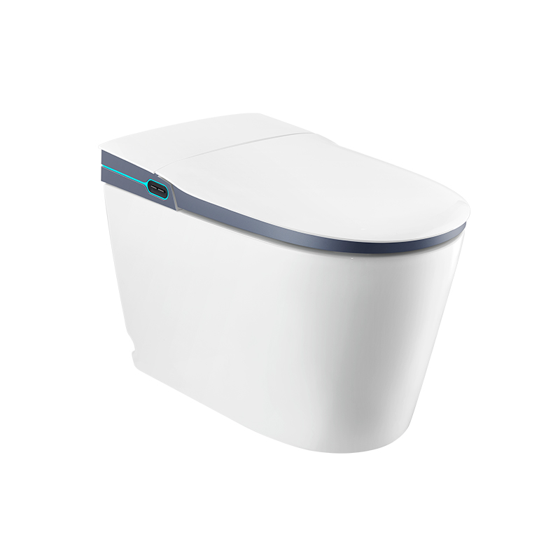 How Does an Intelligent Toilet with Bidet Functionality Enhance Comfort