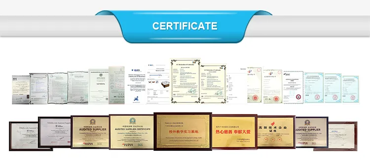 Hot Sale Luxury Balboa Outdoor Swimming SPA Pool