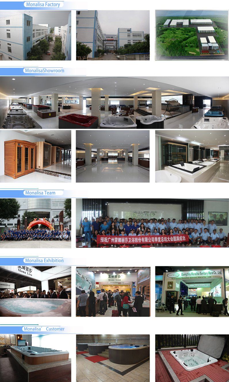 Hot-Seller 2-3 People Capacity Whirlpool Massage SPA Tub (M-3371)