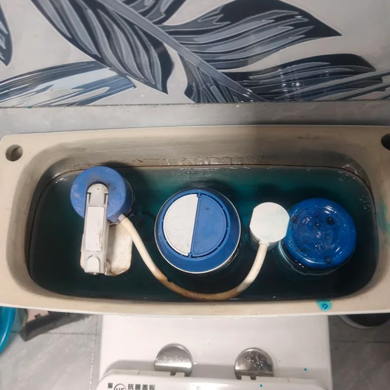 Toilet Cistern Cleaner