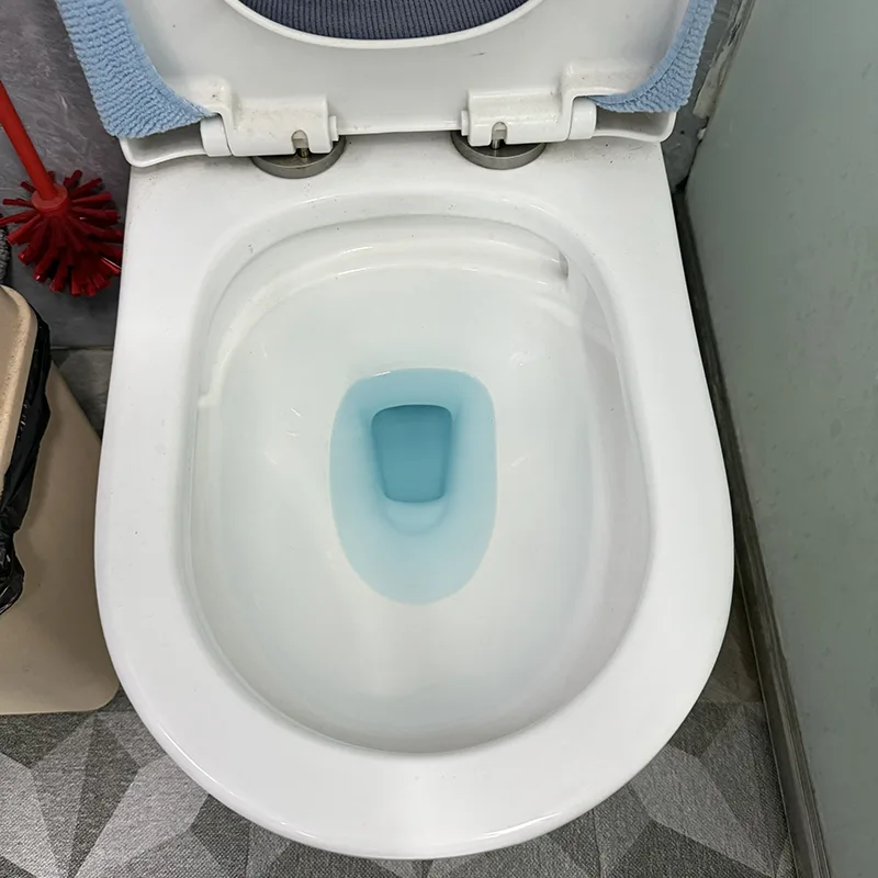Toilet Tank Cleaner Powder