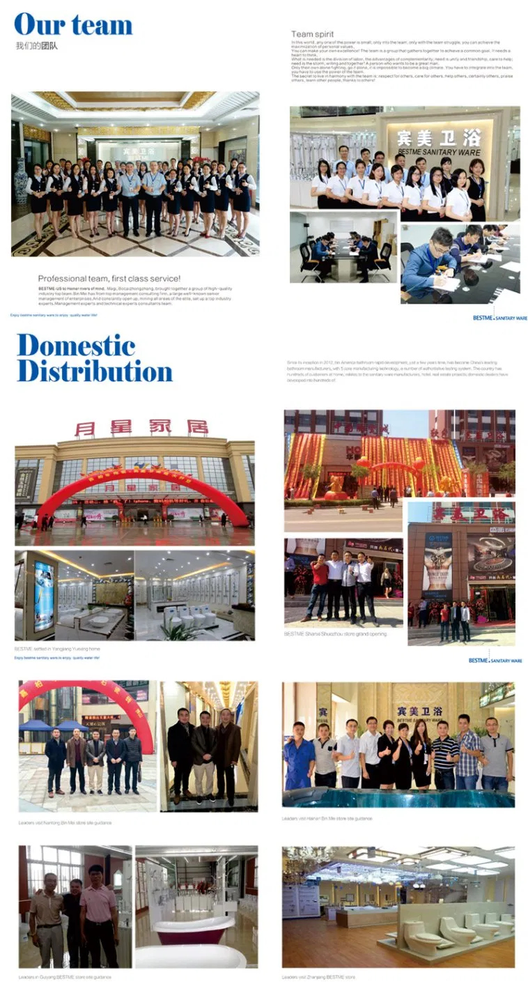 Project Design Wc Washing Basin with Washing Mixer Bc-7017