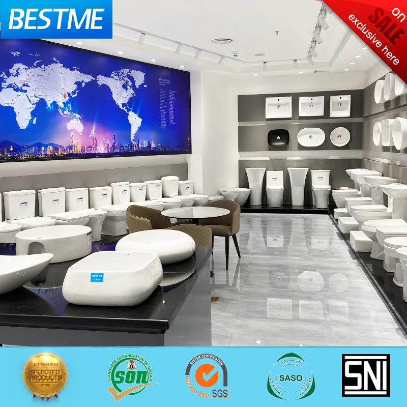 Sanitary Ware Ceramic/Porcelain Wash Basin in Wc Room (Bc-7010)