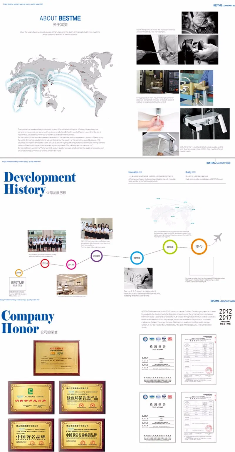 Sanitary Ware Factory Directly Supply Polished Kitchen Faucet (BM-22031)