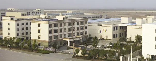 Single Bowl with Drainer Samll Coner for Kitchen Sink