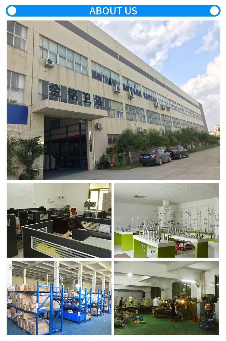 Single Handle Pull out Kitchen Faucet in Stainless Steel (40108)