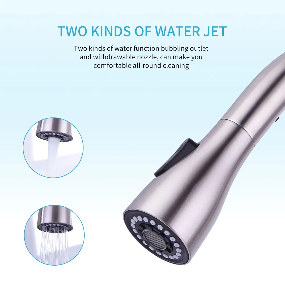 Single Handle Pull out Kitchen Faucet in Stainless Steel (40108)