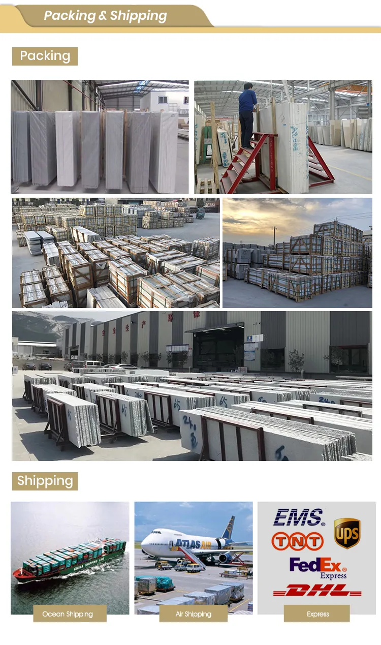 Tunisia Saint Laurent Black Gold Sahara Noir Aziza Marble Slab