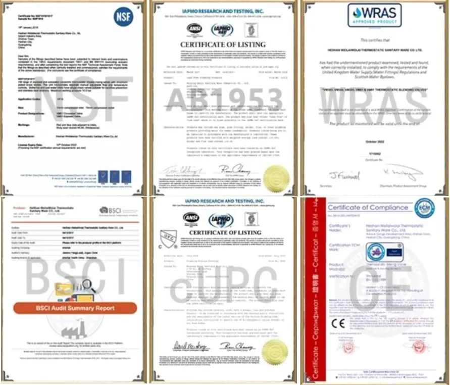 Two Handles Plastic PVC Plated Grifo de la cocina RV Kitchen Faucet Tap